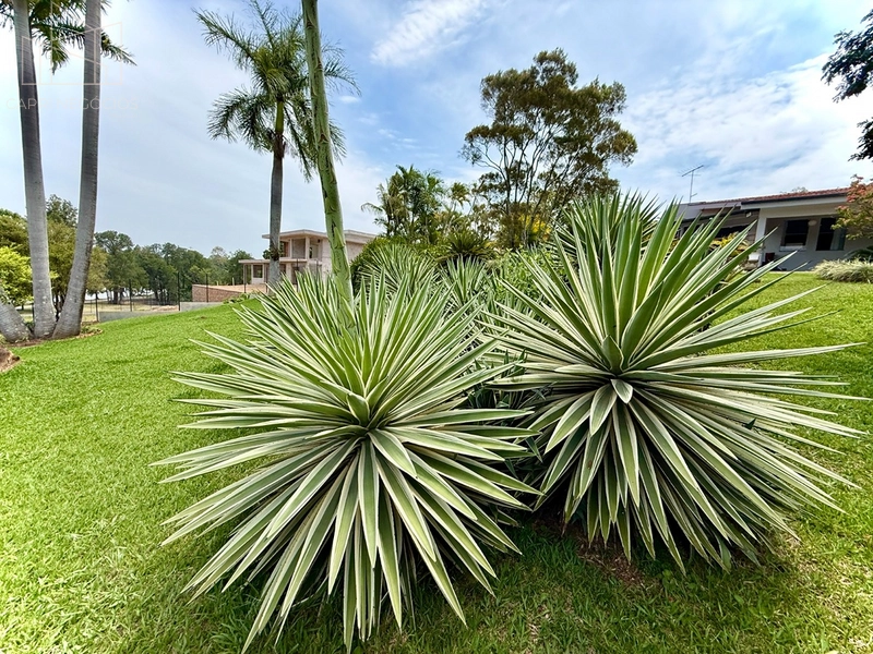 5.000 metros privativos de natureza e bem estar,  dentro da cidade maravilhosa: 44ª foto da galeria de imagens do imóvel