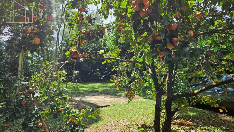 Chácara de 6.500m² a venda - Mosteiro de Itaici - Indaiatuba: 11ª foto da galeria de imagens do imóvel