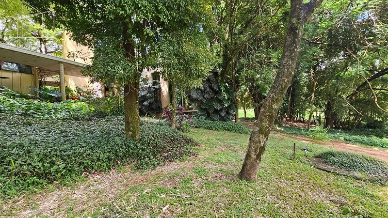 Chácara de 6.500m² a venda - Mosteiro de Itaici - Indaiatuba: 12ª foto da galeria de imagens do imóvel