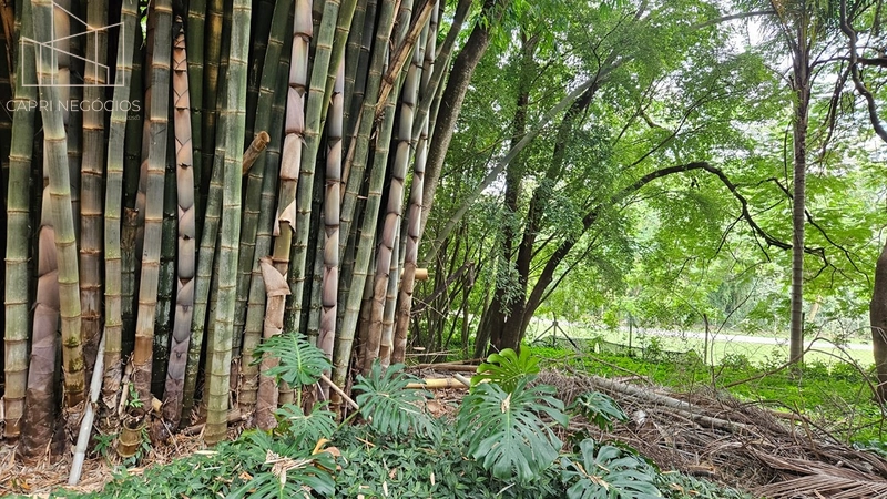 Chácara de 6.500m² a venda - Mosteiro de Itaici - Indaiatuba: 13ª foto da galeria de imagens do imóvel