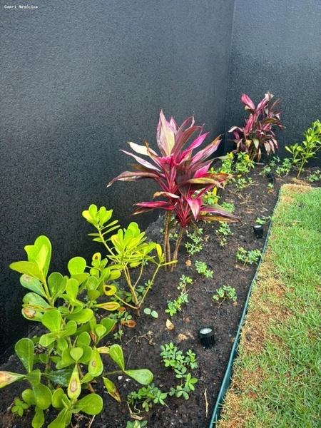 Casa para Venda em Indaiatuba / SP no bairro Jardim Casablanca: 21ª foto da galeria de imagens do imóvel