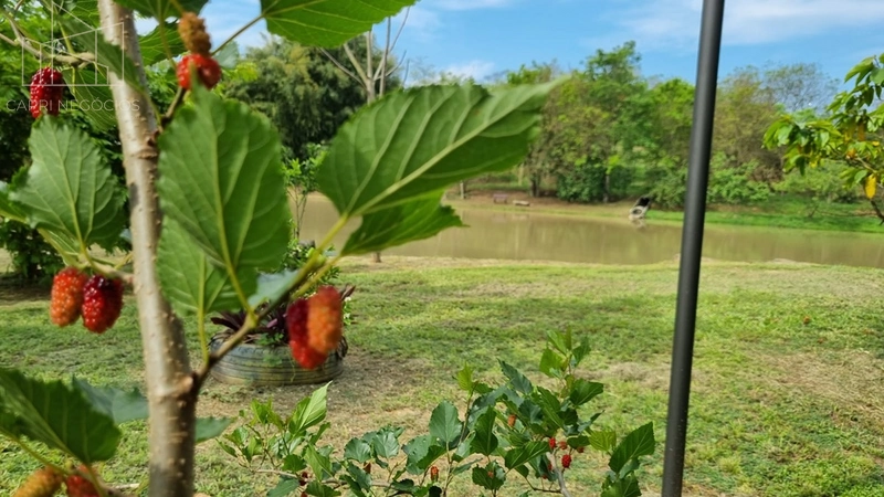 Lote a venda - Condomínio Monte Verde - com lago em  Monte Mor: 2ª foto da galeria de imagens do imóvel