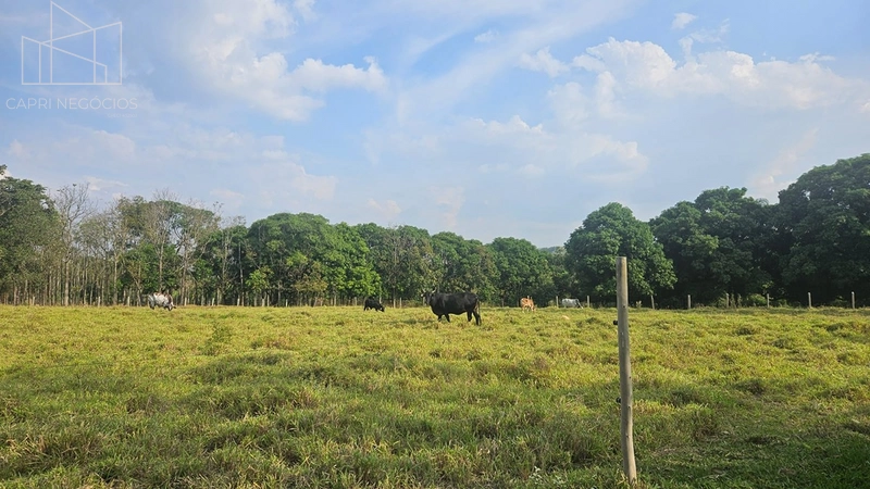 Chácara a venda - 34mil m² - Monte Mor: 17ª foto da galeria de imagens do imóvel
