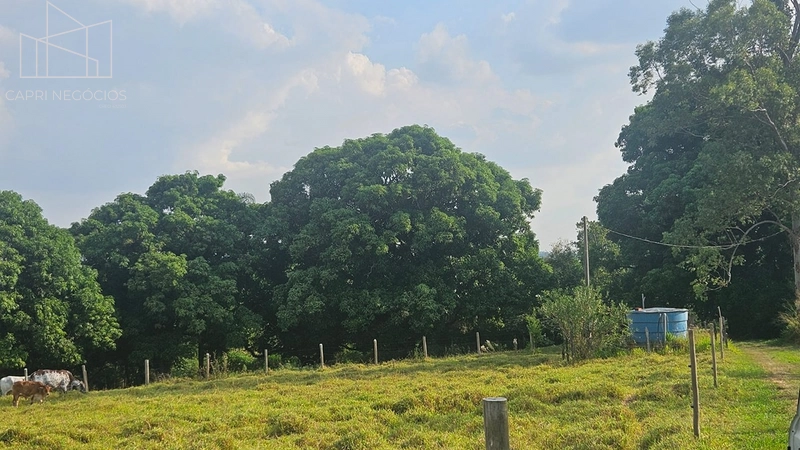 Chácara a venda - 34mil m² - Monte Mor: 9ª foto da galeria de imagens do imóvel