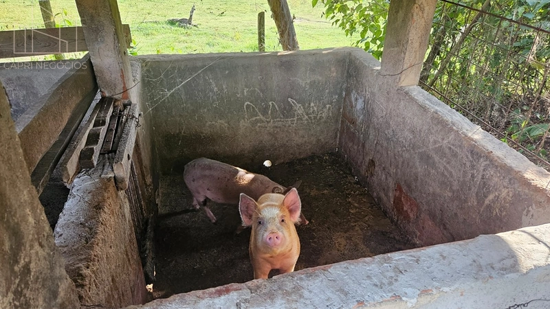 Chácara a venda - 34mil m² - Monte Mor: 6ª foto da galeria de imagens do imóvel