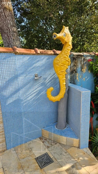 Chácara para Venda em Monte Mor / SP no bairro Pindorama: 13ª foto da galeria de imagens do imóvel