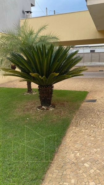 Casa para Venda em Indaiatuba / SP no bairro Jardim Bela Vista: 2ª foto da galeria de imagens do imóvel