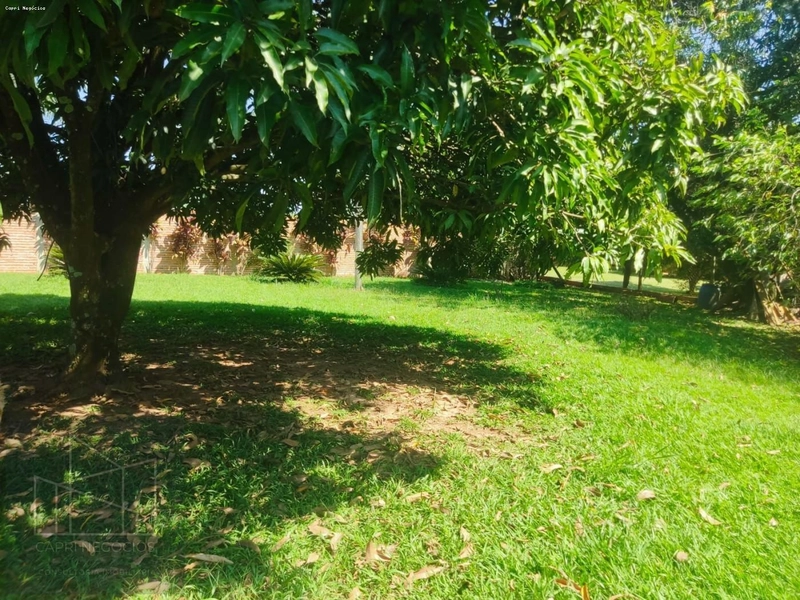 Chácara para Venda em Monte Mor / SP no bairro Quinhões da Boa Esperança: 27ª foto da galeria de imagens do imóvel