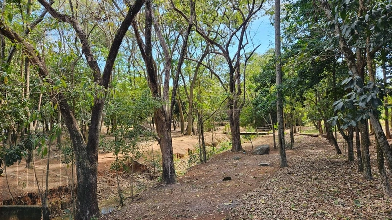 Chácara para Venda em Jaguariúna / SP no bairro Residencial Ana Helena: 30ª foto da galeria de imagens do imóvel