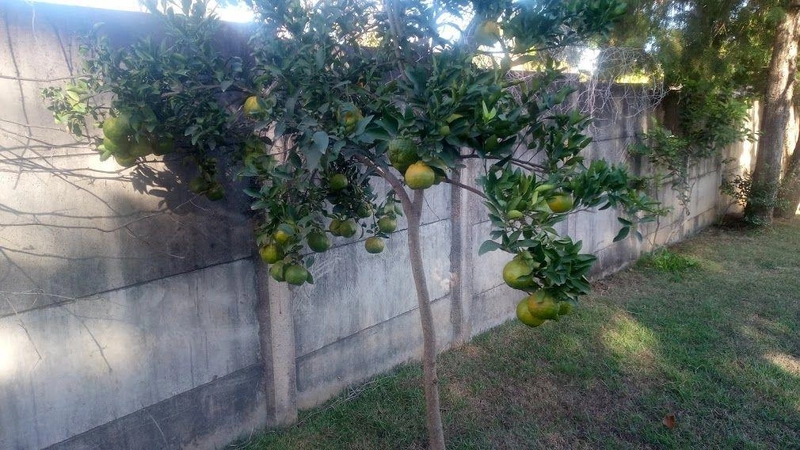 Chácara para Venda em Indaiatuba / SP no bairro Parque Das Bandeiras: 24ª foto da galeria de imagens do imóvel