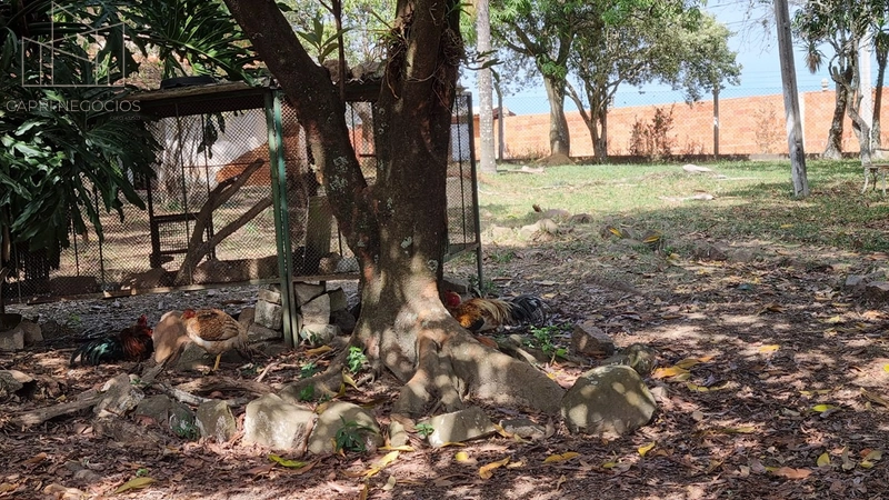 Sítio a venda em Monte Mor: 11ª foto da galeria de imagens do imóvel