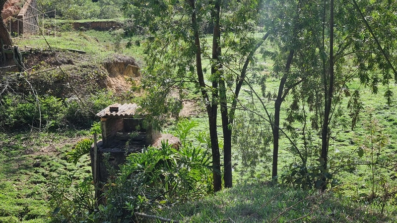 Sítio a venda em Monte Mor: 10ª foto da galeria de imagens do imóvel
