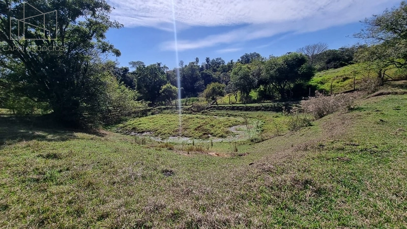 Sítio a venda em Monte Mor: 7ª foto da galeria de imagens do imóvel