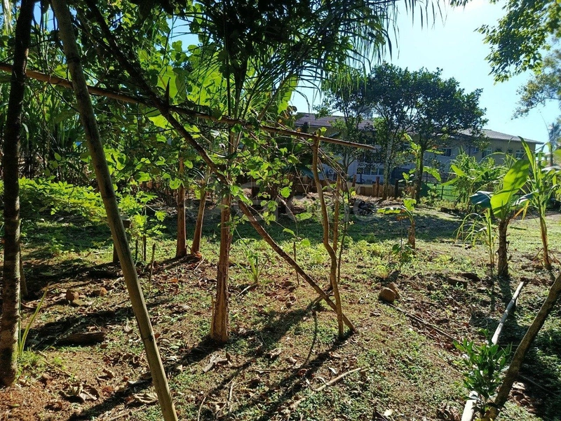 null: 11ª foto da galeria de imagens do imóvel
