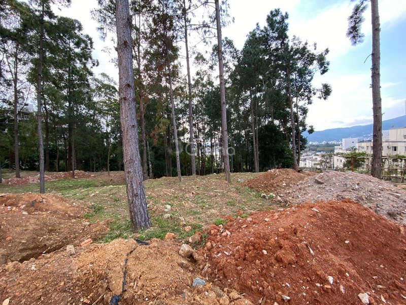 null: 2ª foto da galeria de imagens do imóvel
