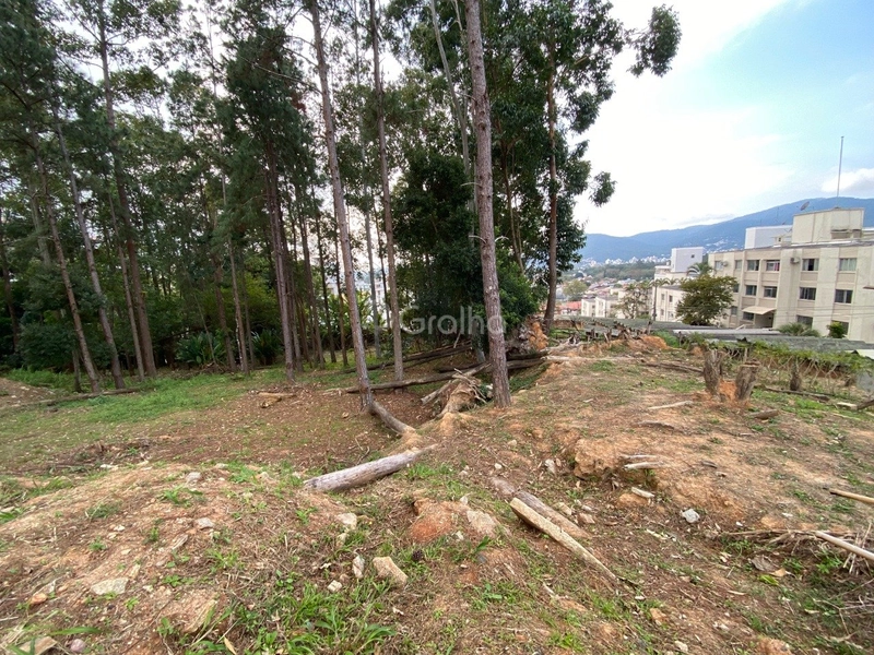 null: 7ª foto da galeria de imagens do imóvel