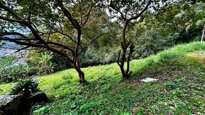 null: 2ª foto da galeria de imagens do imóvel