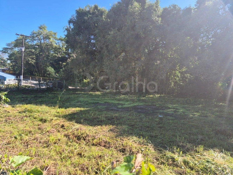 null: 2ª foto da galeria de imagens do imóvel