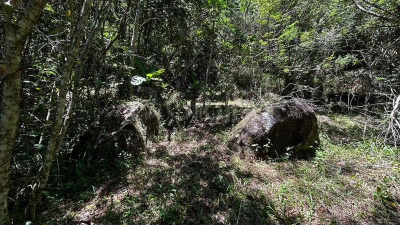 null: 37ª foto da galeria de imagens do imóvel