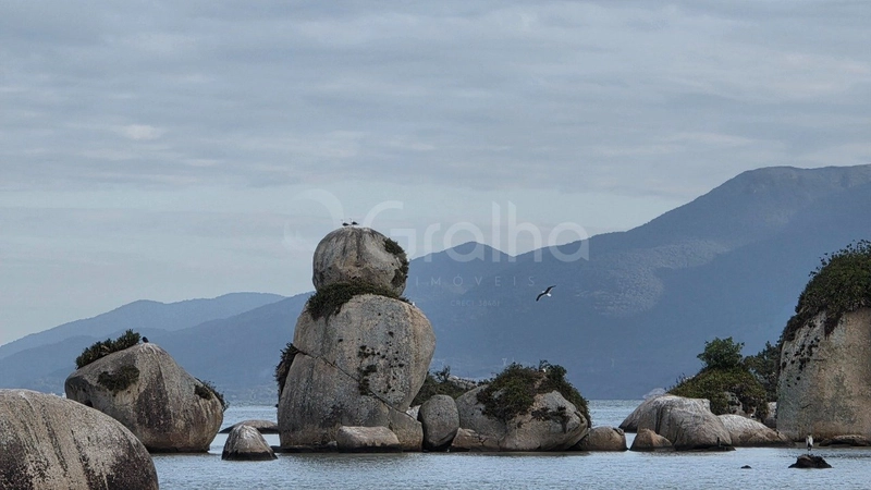 null: 39ª foto da galeria de imagens do imóvel