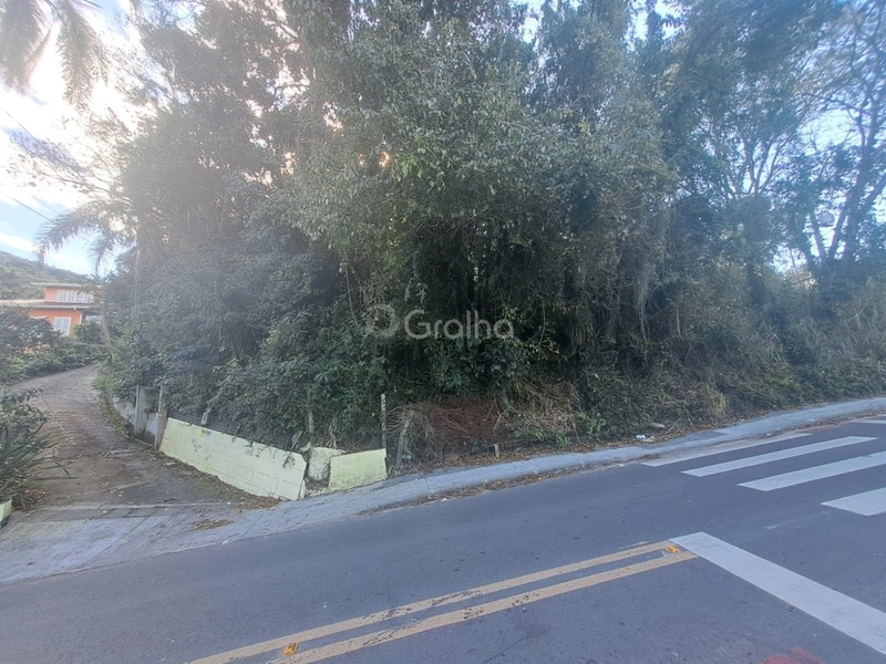 null: 9ª foto da galeria de imagens do imóvel