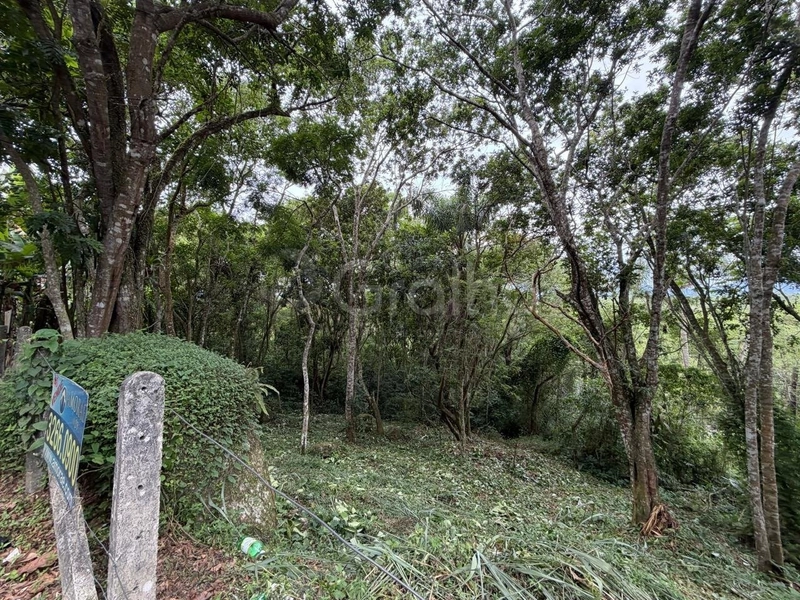 null: 3ª foto da galeria de imagens do imóvel
