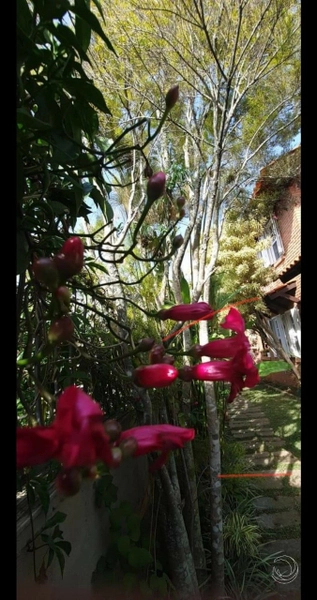 null: 1ª foto da galeria de imagens do imóvel