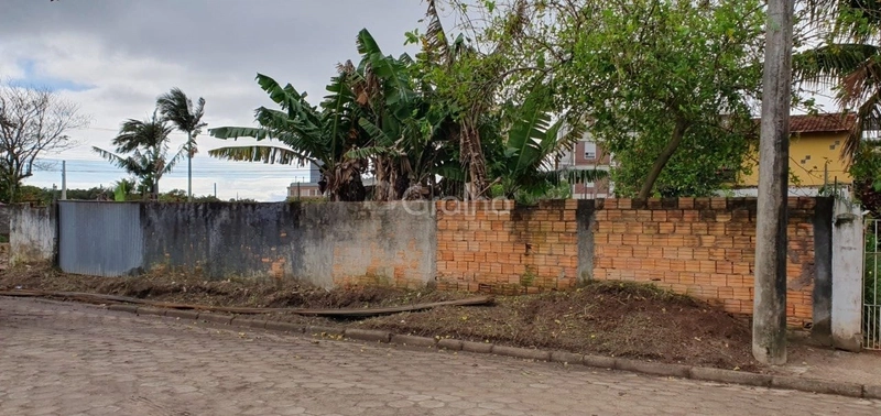 null: 3ª foto da galeria de imagens do imóvel