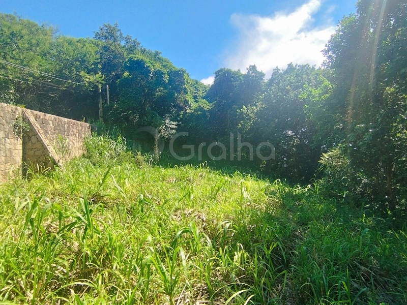 null: 5ª foto da galeria de imagens do imóvel