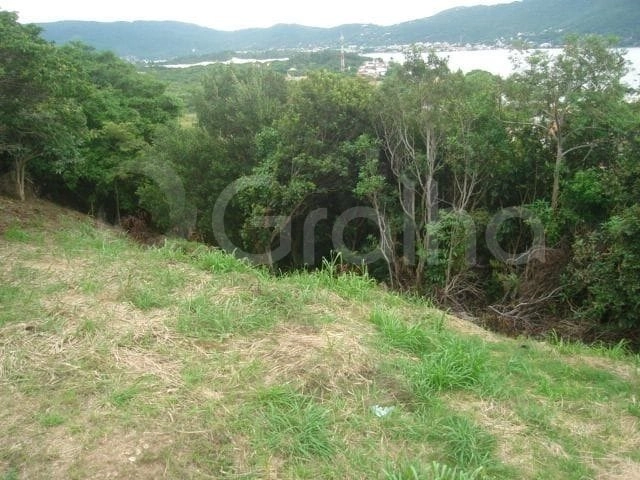 null: 11ª foto da galeria de imagens do imóvel