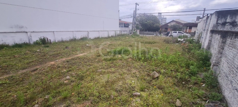 null: 10ª foto da galeria de imagens do imóvel