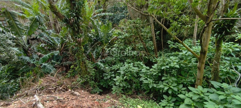 null: 37ª foto da galeria de imagens do imóvel