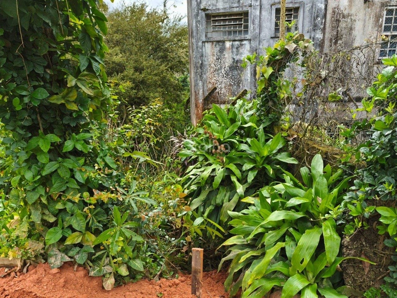 null: 41ª foto da galeria de imagens do imóvel