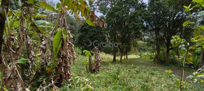 null: 18ª foto da galeria de imagens do imóvel