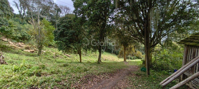 null: 15ª foto da galeria de imagens do imóvel