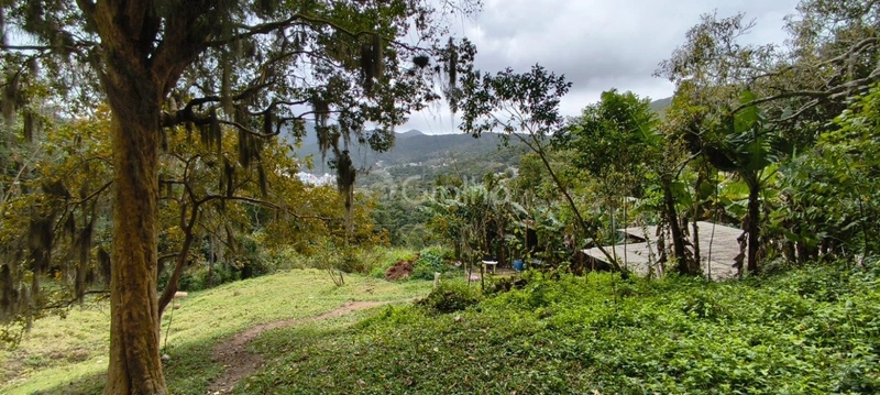 null: 14ª foto da galeria de imagens do imóvel