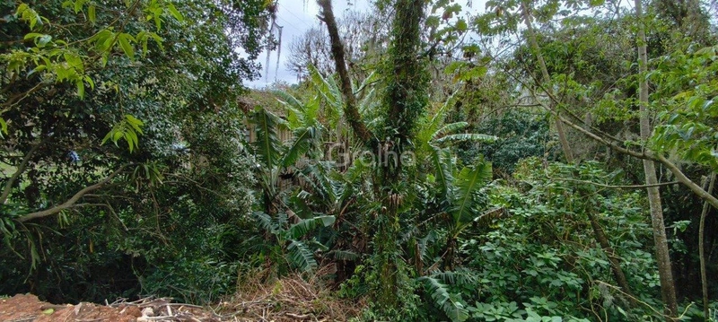 null: 39ª foto da galeria de imagens do imóvel