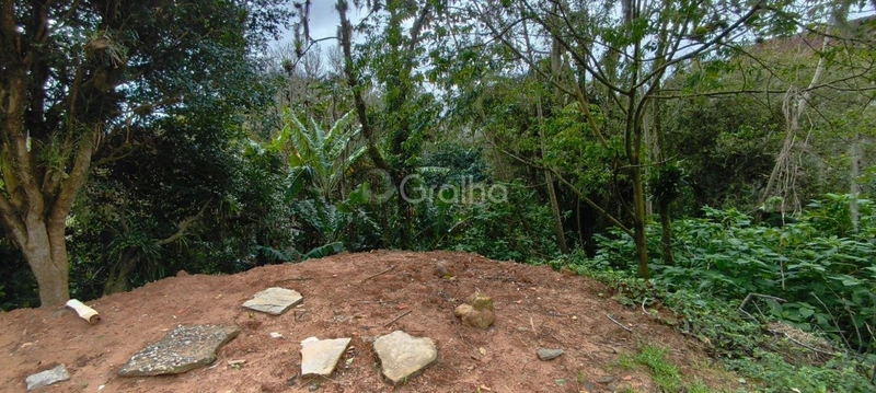 null: 5ª foto da galeria de imagens do imóvel