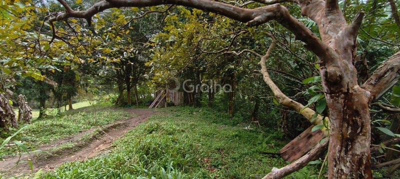 null: 24ª foto da galeria de imagens do imóvel