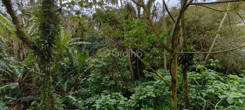 null: 4ª foto da galeria de imagens do imóvel
