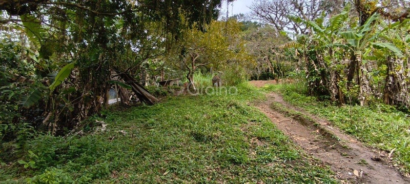 null: 17ª foto da galeria de imagens do imóvel