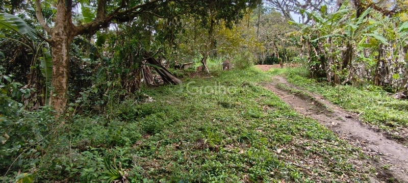 null: 2ª foto da galeria de imagens do imóvel
