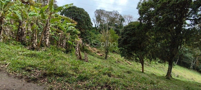 null: 19ª foto da galeria de imagens do imóvel