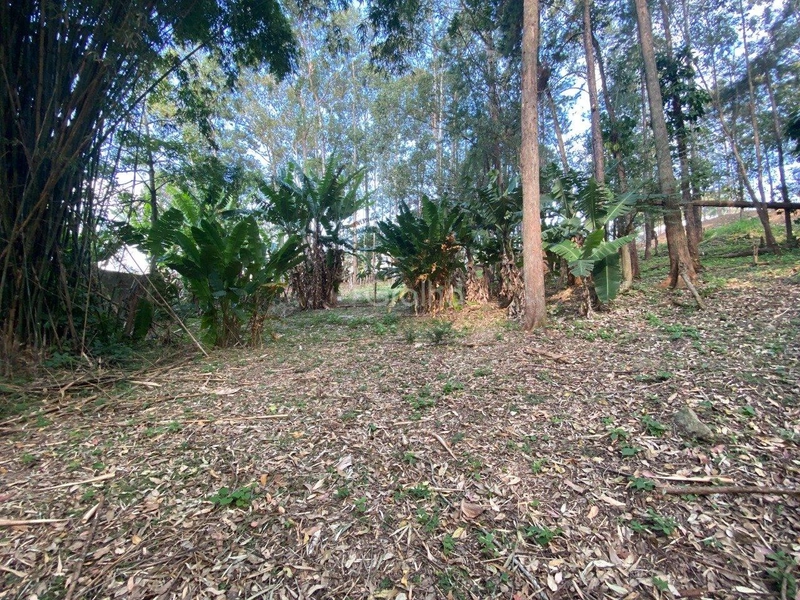 null: 3ª foto da galeria de imagens do imóvel