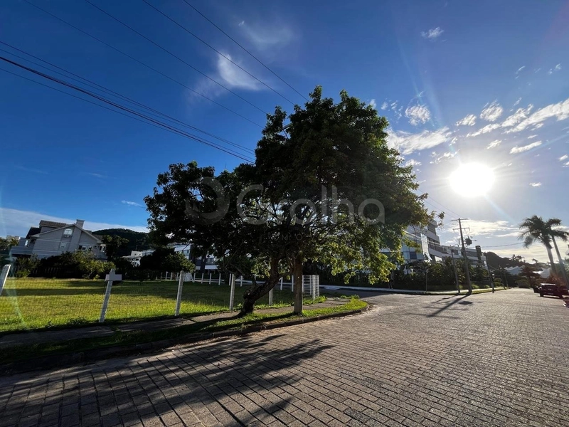 null: 10ª foto da galeria de imagens do imóvel