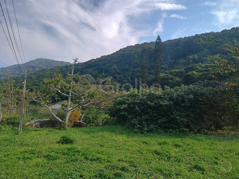 null: 11ª foto da galeria de imagens do imóvel