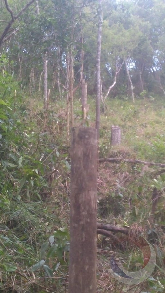 null: 1ª foto da galeria de imagens do imóvel