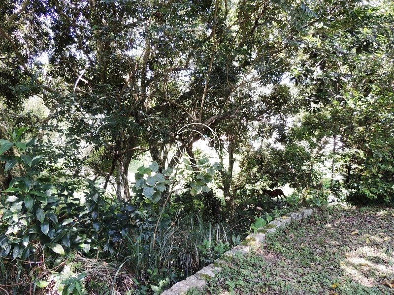 null: 1ª foto da galeria de imagens do imóvel