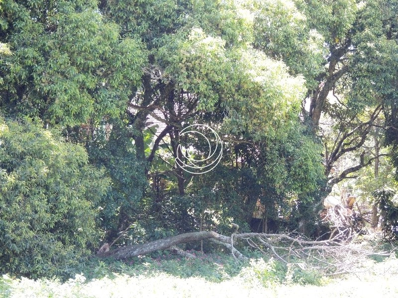 null: 7ª foto da galeria de imagens do imóvel