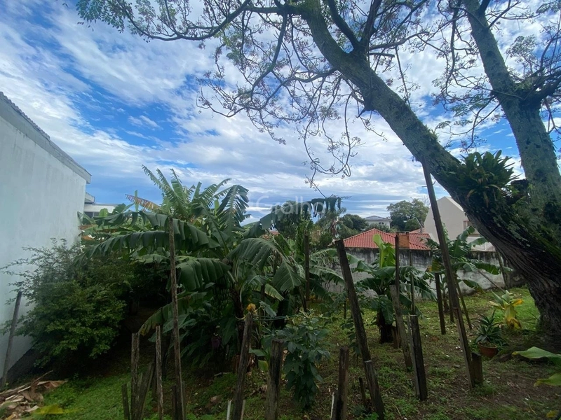 null: 1ª foto da galeria de imagens do imóvel